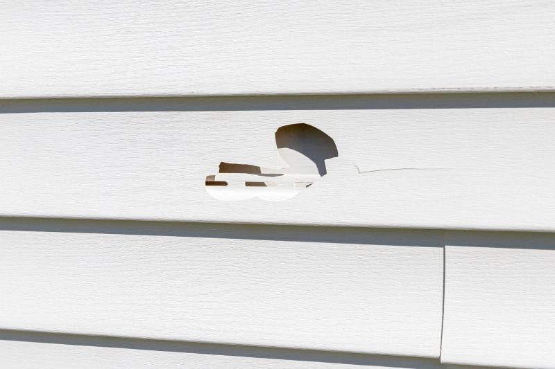Vinyl Siding Repair detail