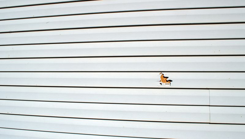 Assessment Before Repair